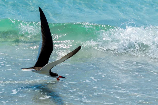 Photography by Mark Hursh